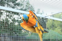 /album/fotogalerie-zoo-dvorec-u-borovan-park-exotickych-zvirat/zoo-dvorec-u-borovan4-jpg/